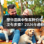 豪华品牌中型车降价幅度有多狠?2026年最新行情与砍价实战(图2) 豪华品牌中型车降价幅度有多狠?2026年最新行情与砍价实战(图2)