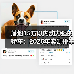 落地15万以内动力强的轿车：2026年实测挑车清单与避坑指南（图3）