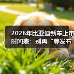 2026年比亚迪新车上市时间表:别再“等发布会”,这样抓准上车点(图3) 2026年比亚迪新车上市时间表:别再“等发布会”,这样抓准上车点(图3)