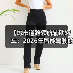 【城市道路领航辅助轿车：2026年智能驾驶的终极体验指南】（图2）