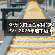 30万以内适合家用的MPV:2026年选车避坑清单与真实案例(图3) 30万以内适合家用的MPV:2026年选车避坑清单与真实案例(图3)